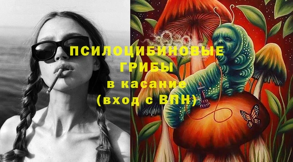 мдпв Дмитров