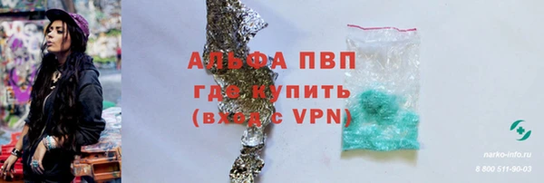мдпв Дмитров