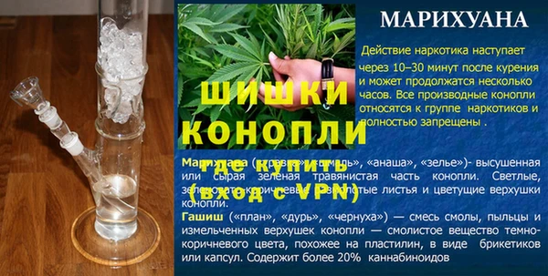 мдпв Дмитров