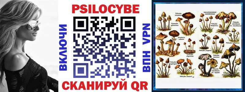 Купить  Лысково  Галлюциногенные грибы MAGIC MUSHROOMS 